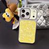 Shell pattern changes 17 seconds for Apple 17 Pro mobile phone case, new iPhone16 large window 14/15 protective case