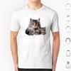 Loving Mother Cat And Her Playful Kitten T Shirt Cotton Men Women DIY Print Cat Illustration Mother Cat And Kitten Cute Cat