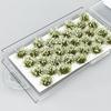 Simulation Small Grass Model Diy Building Static Tuft Toys Miniature Flower Cluster  Sand Table