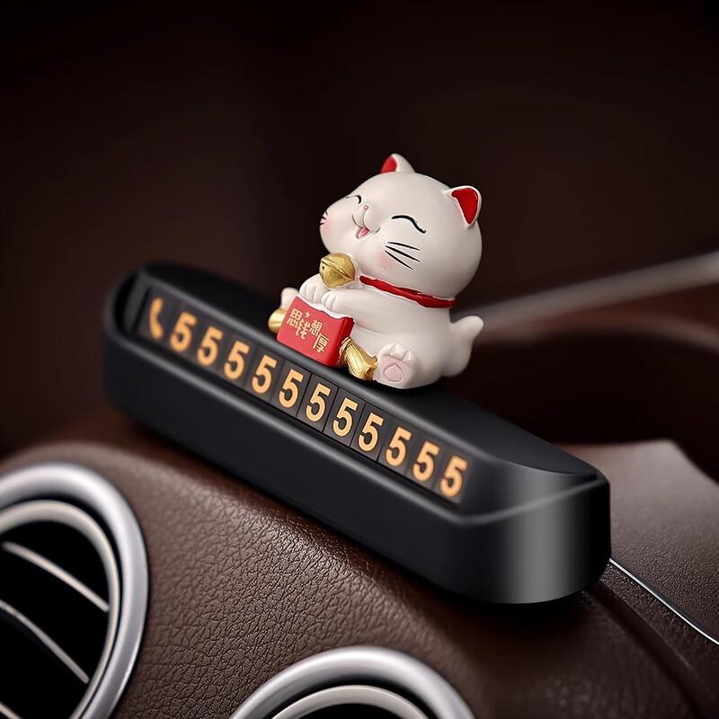 Digalun Lucky Cat Temporary Parking Number Plate