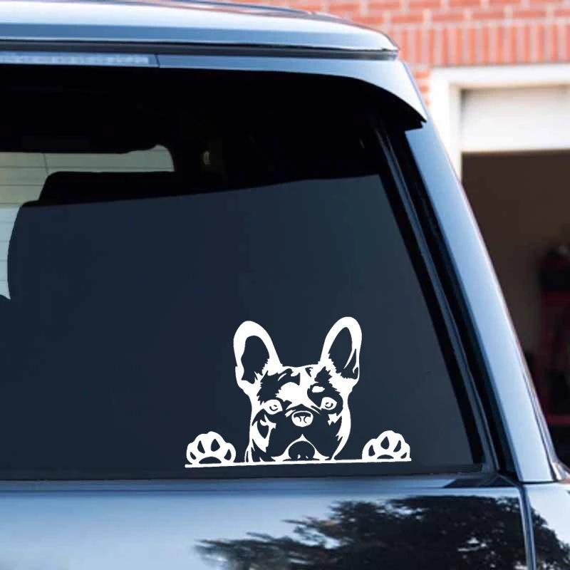 2 Sheets Dog Car Window Decal Funny Dog Decals for Any Smooth Surface