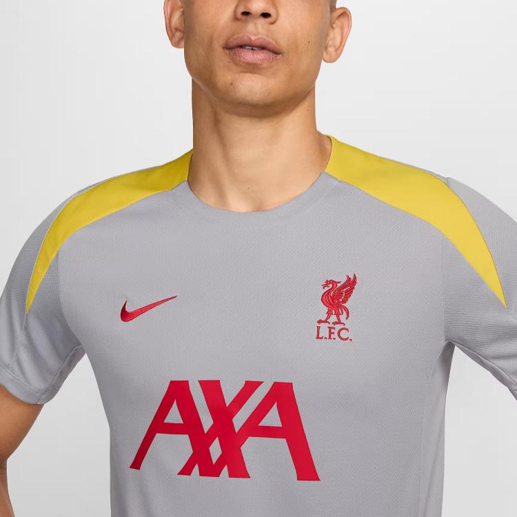 Nike Liverpool Dri-Fit FW24 F.C. Strike Third Knit Pullover Short Sleeve Football Shirt Men tops Light-Smoke-Grey FQ2611-078