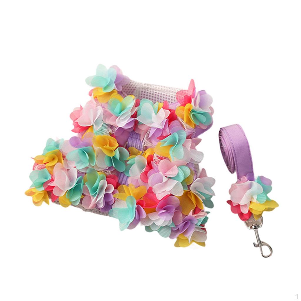 Elegant Floral Dog Harness And Leash Set for Stylish Pets