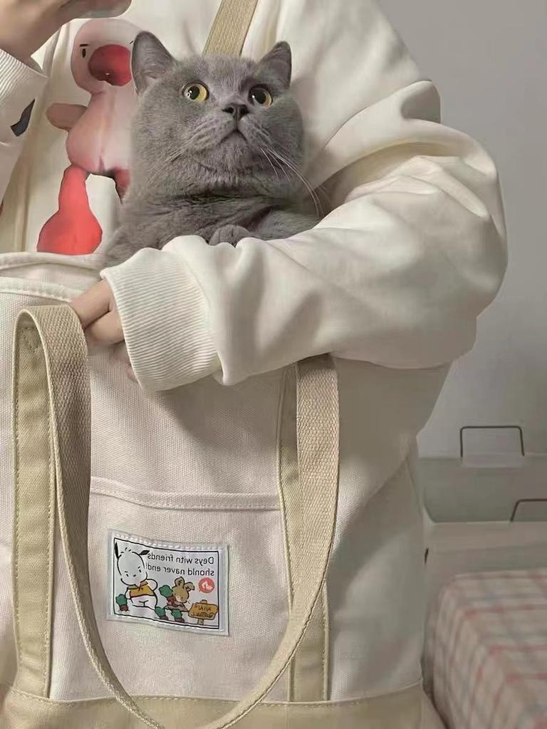 Women's Large Capacity Canvas Tote Bag for School and Tutoring