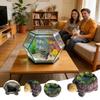 Aquarium Air Stone Resin Quiet Turtle Shaped Bubble Stone Fish Tank Bubbler Decorations for Ponds Buckets Home Hydroponics