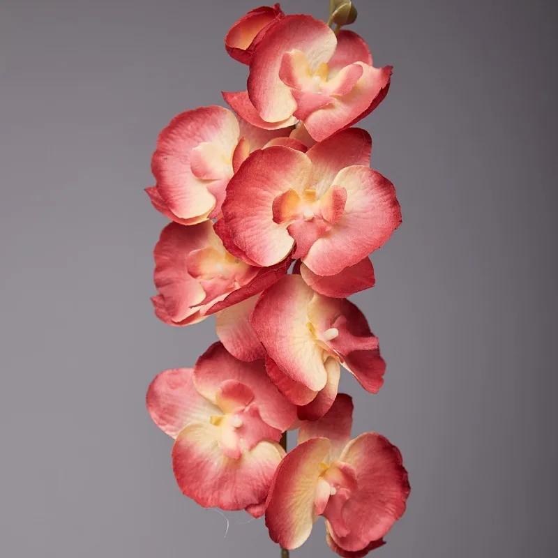 5pcs 9-Heads Artificial Butterfly Orchid Silk Flower 68CM Fake Phalaenopsis Wedding Home Decoration Artificial Flowers