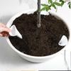 1/3/5pc Plant Water Device Breathable Cone Watering Grid Gasket Plant Breathable Tube Flower Pot Root Guide Soil Aerator Tube