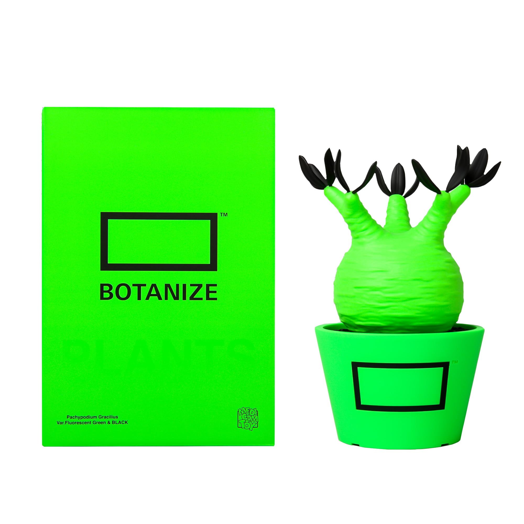 

BOTANIZE x MEDICOM TOY Pachypodium Gracilis Pop Decor Figurine, Pink, Color, American-Style (Green) зелёный
