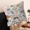 Fashion Luxury Cute Mofusand Cat Cushion Cover Pillow Cover Decor Pillowcase Printed Cushion Case For Couch