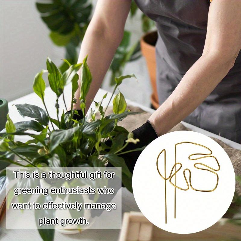 Reusable Metal Climbing Plant Stems Support Stake, Unique Design Plant Stake, Garden Decor, Flower Pot Decor, Plant Trellis, Ideal for Healthy Growth