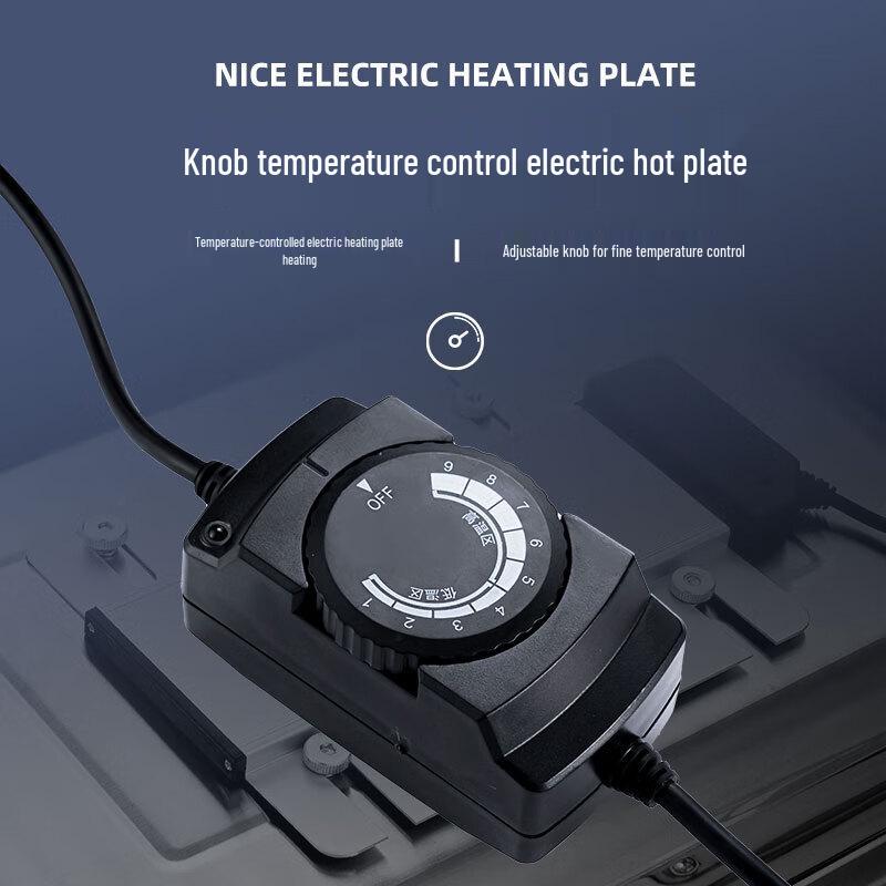 Venus Electric Buffet Food Warmer