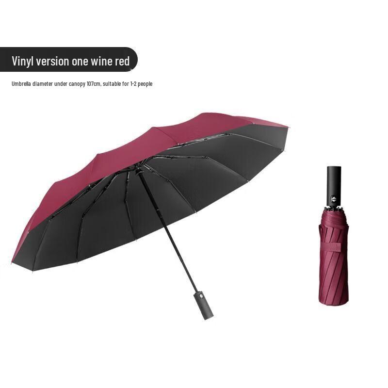 Automatic 10-Rib UV Protection Sun/Rain Umbrella