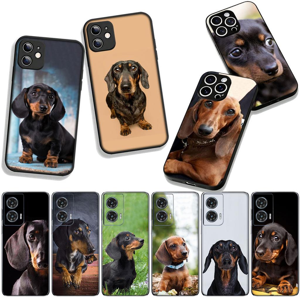Handyhülle Tier Liebenswert Dackel Hund Hülle für Xiaomi Redmi Note 15 11 9 10 Pro Plus A5 9A 9T 10A 10C 9C NFC 15C 8T Hülle