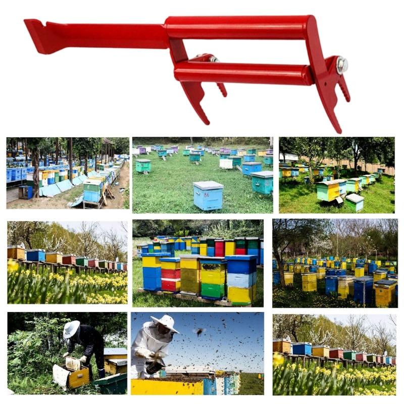 Durability Stainless Steel Bees Hives Tool with Scraper and Colored Handle for Easy Identification and Comfortable Grip