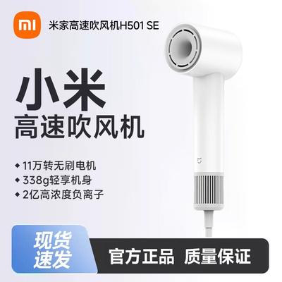 XiaoH501SE High-Speed Hair Dryer CN Plug (adapter Included)