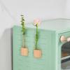 1/2 STÜCK Massivholz Kühlschrankmagnete Magnetisches Reagenzglas Vase Blumenarrangement Kreative Dekoration Wandbehang Wandvase