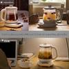 Bear 0.8L Mini Electric Health Kettle CN plug (adapter included)