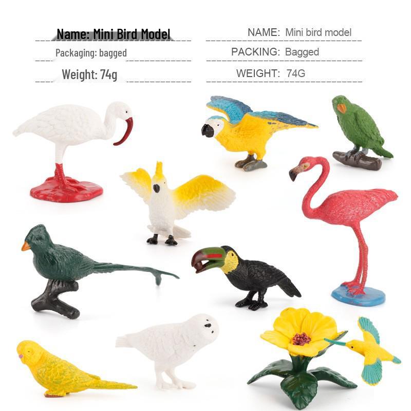 Animal Growth Cycle Models: Chicken, Duck, Goose, Butterfly, Turtle, Frog Montessori Teaching Figurines
