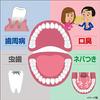 Zerola Paste Antibacterial Total Care Medicinal Toothpaste 90g Periodontal Disease Prevention Medical Mint Kobayashi Pharmaceutical Quasi-Drug