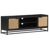 VidaXL TV Cabinet 120x30x40 Cm Solid Mango Wood