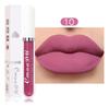 Cmaadu 4pcs Long Lasting Matte Waterproof Lip Gloss