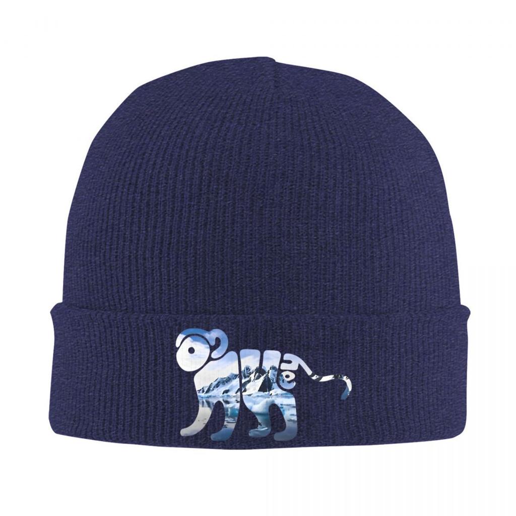 Rock Music Album Band Knitted Caps for Women Men Beanie Winter Hats Arctic Monkeys Crochet Caps