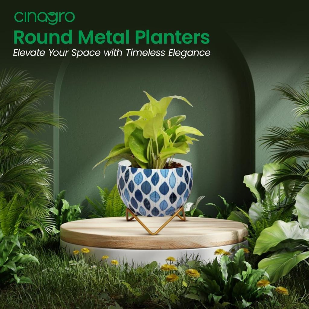 Macetas para Plantas, Macetas para Decoración del Hogar, Maceta para Suculentas, Jardinera de Interior Decoración de Jardín (Para ti: 6X6 pulgadas) Estilo: Serenidad Costera