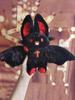 Black Bat Rabbit Plush Doll Stuffed Animal Cuddly Toy Birthday Gift Holiday Gift for Halloween Christmas  Devil Companion Toys