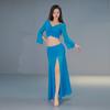New Belly Dance Dress Set Oriental Indian Mesh Performance Outfit