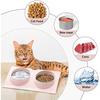 Cat Bowls 2 In 1, Cat Bowls For Food And Water, 15°Bowl Cat Vomiting Bowl For Dogs, Insurance, Trab Prevention, Removable Pet Bowl