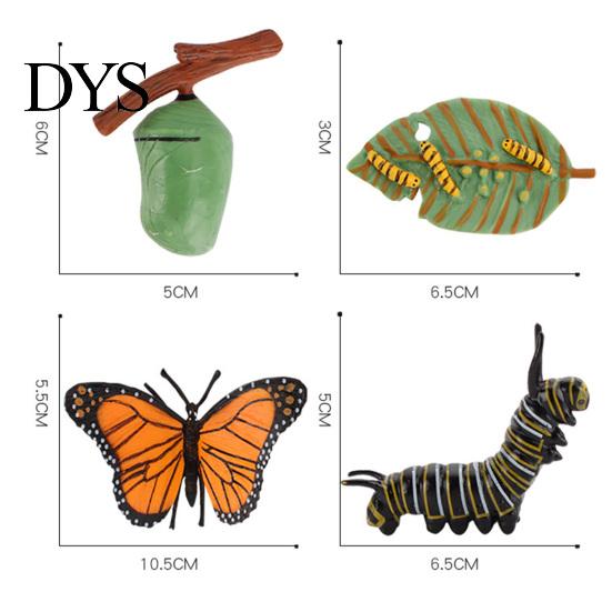 4Pcs/5Pcs Frog Tarantula Butterfly Bee Animal Growth Observation Model Toys