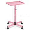 New Solid Color Hairdressing Handcart Beauty and Hairdressing Storage Tray Cross-border Home Hair Salon Storage Tool Cart