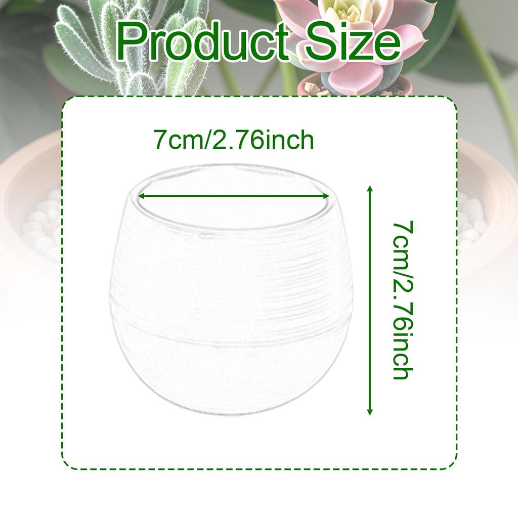 12 Pieces Small Flower Pots Planters Multifunctional Flowerpots Containers for