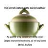 Weidu 2.8L Ceramic Deep Stockpot