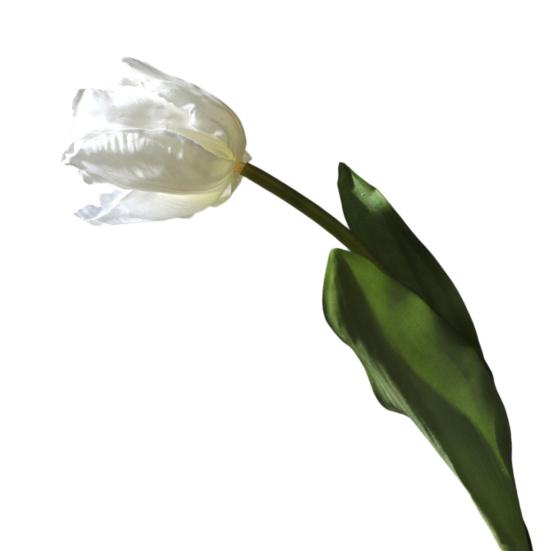 

Artificial Tulip Flowers Real Touch Long Stem Tulip Bouquet with Leaves for Wedding Bouquet Spring Floral Arrangement Home Table
