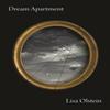 Dream Apartment by Lisa Olstein Paperback Book 9781556596742