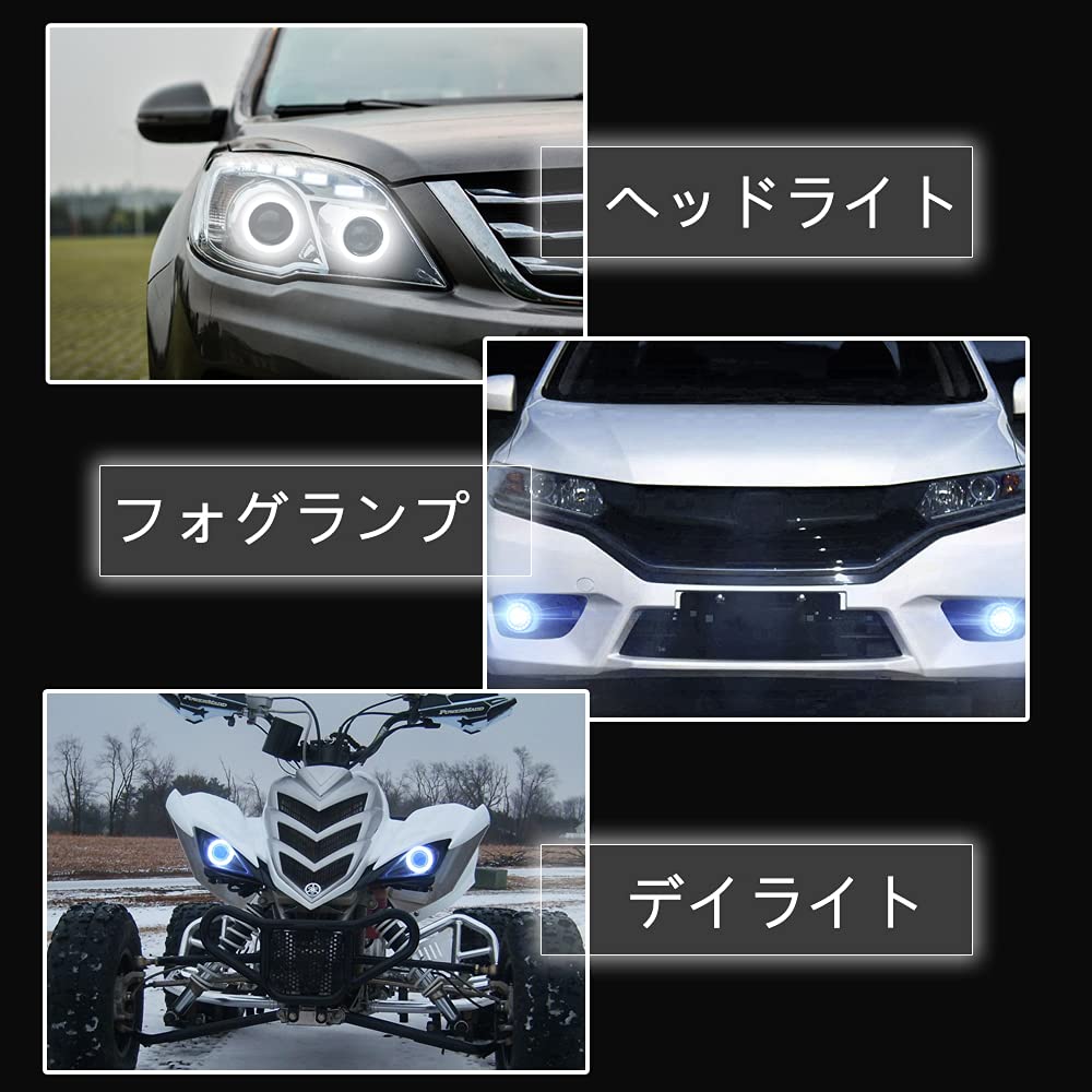 Grandview 51 LED Kalmaro žiedas, 3,1 colio (80 mm), Priekinis žibintas su balastu, Dangtelis įtrauktas,