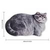 Ginger Cat Bathroom Carpet Russian Blue Floor Mat Entrance Carpet  Living Room Tea Table Bedside