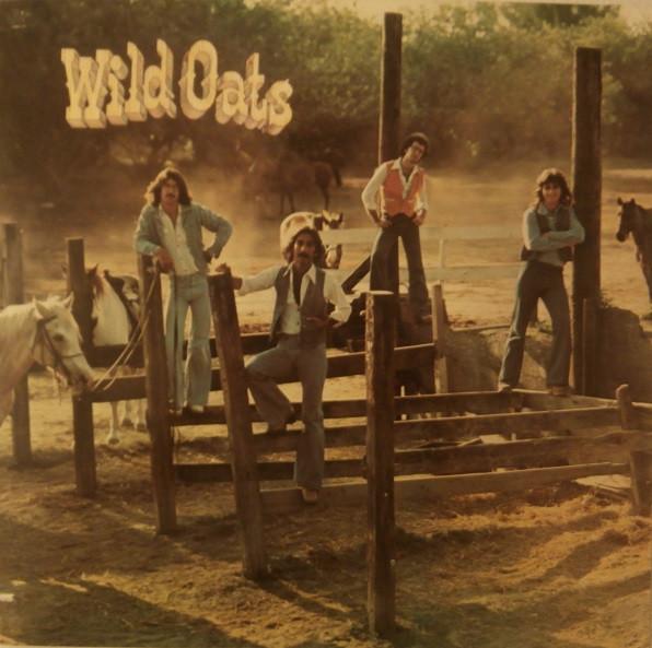 

LP Пластинка WILD OATS - Wild Oats 8803 Clouds 1977 US Кантри Б/У