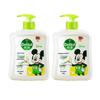 Dettol Disney Antibacterial Hand Wash - Jasmine & Green Tea (2x500g)