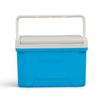 9 QT Hard Sided Cooler Ice Chest with Elevated Design Portable Lunch Storage Reversible Tray Lid Outdoor Activities