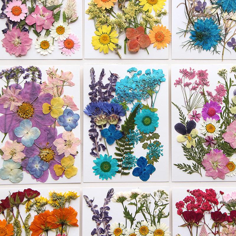 Pressed flower and dried flower craft kit, facial decoration for eye corner photo props, DIY resin photo frame with petals