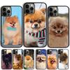 Pomeranian Dog Phone Case For iPhone 17 Air 13 12 14 15 16 Cover For Apple 14 15 16 Pro Max 6S Plus Coque