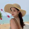 Summer new hat women's fashion retro burr straw hat summer outdoor temperament sunscreen sunshade flat top hat