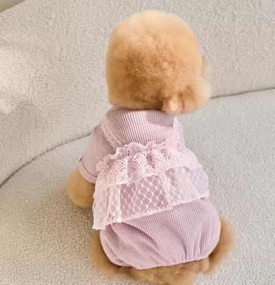 Pet Spring Jumpsuit Cute Lace Camisole Puppy Teddy Cat Waffle Lace Four Legged Coat Small Dog Puppy Clothes Dog Pajamas