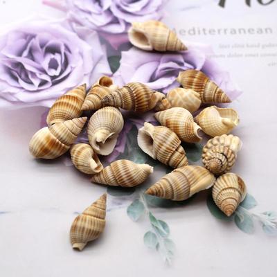 20 Stück/50 Stück Conch Schmuck Natur Der Perlmutt Anhänger Whithour Loch für Schmuckherstellung Fischglas Kleid Kostüm Ornament