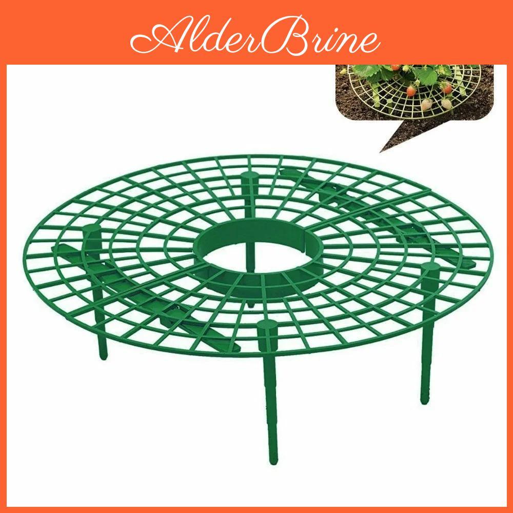 Cm Strawberry 30x30 Convenient Holder Strawberries Do Not Rot In Rainy Days Suitable For Your Garden