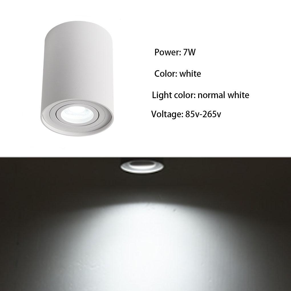 LED Ceiling Lamp Angle Adjustable Light for Living Room Background Porch Hallway Warm White Light