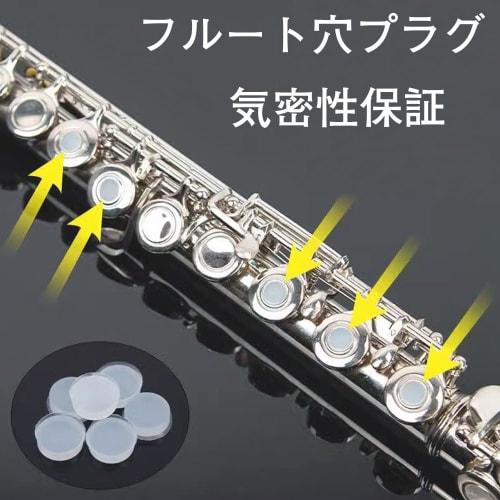 Set of 10 Flute Hole Plugs, Fits Most Flutes, Repair Parts, Plugs, Open, Rubber Flute Plugs