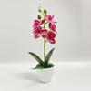 Artificial Orchid Potted Plant With Realistic Petals Zero Maintenance For Home Office Tabletop Decor